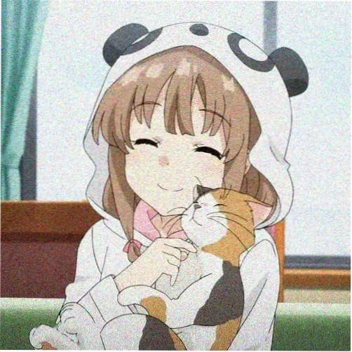 用户